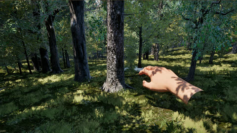 The Hand reaching for a tree in dense woodland